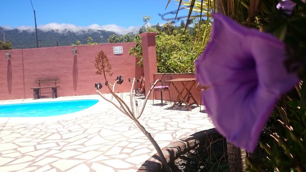 בית הארחה אל פאסו 	Casitas La Montanita מראה חיצוני תמונה