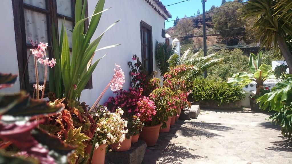 בית הארחה אל פאסו 	Casitas La Montanita מראה חיצוני תמונה